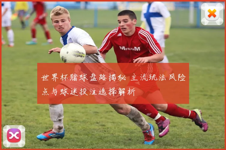 世界杯赌球盘路揭秘 主流玩法风险点与球迷投注选择解析
