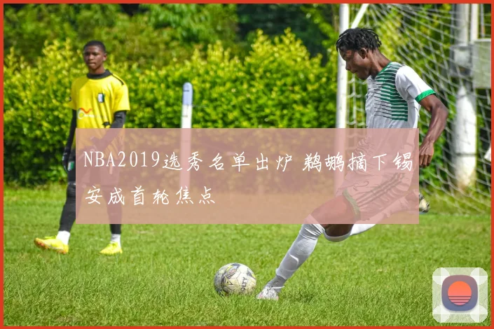 NBA2019选秀名单出炉 鹈鹕摘下锡安成首轮焦点