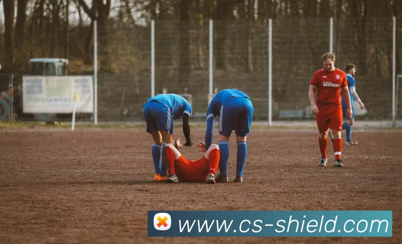 奇异果工作室官网平台生态图